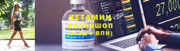 гашик Вяземский