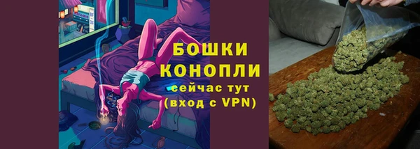 гашик Вяземский
