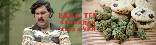 гашик Вяземский