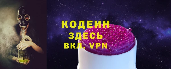 стафф Гусев