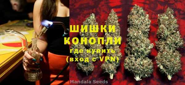 гашик Вяземский