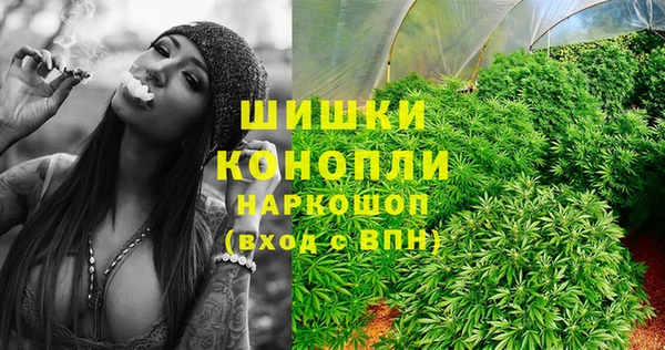 гашик Вяземский
