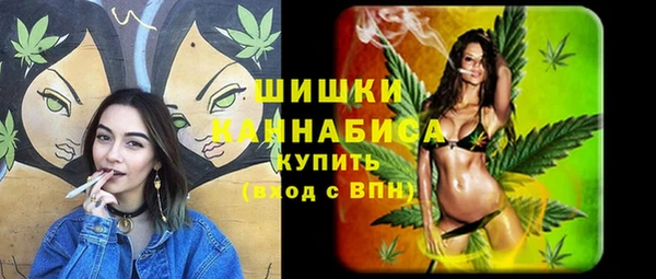 стафф Гусев